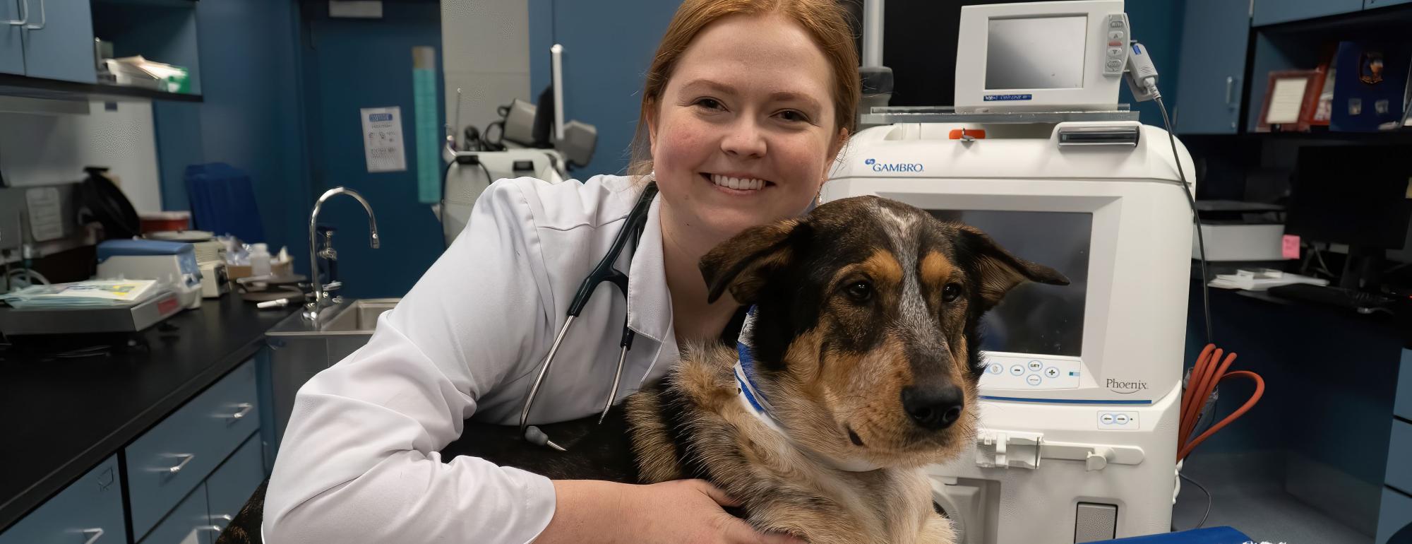 Companion vet hot sale